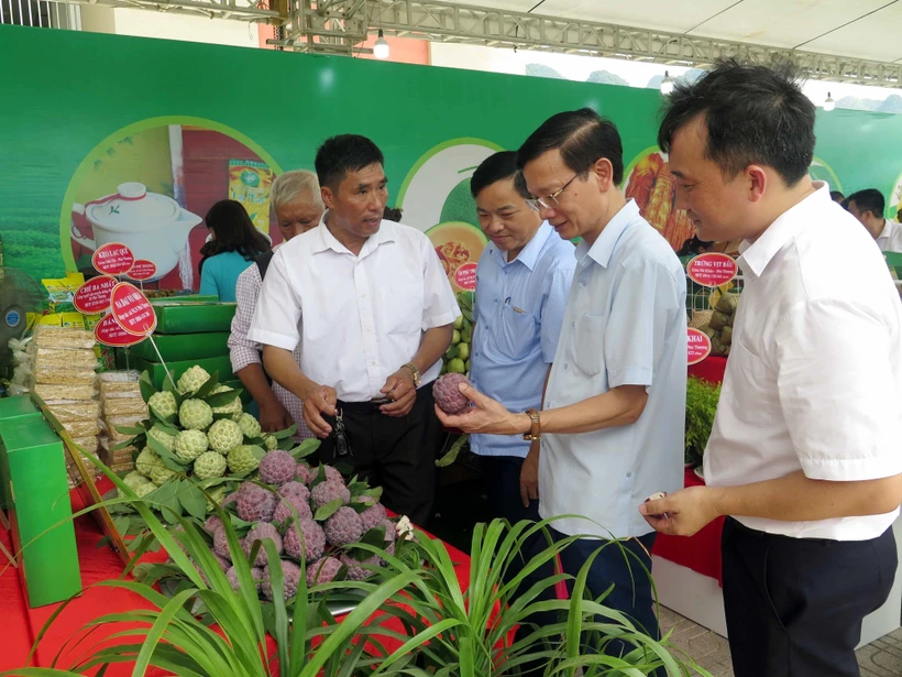 Thái Nguyên kết nối tiêu thụ sản phẩm na và các nông sản chủ lực