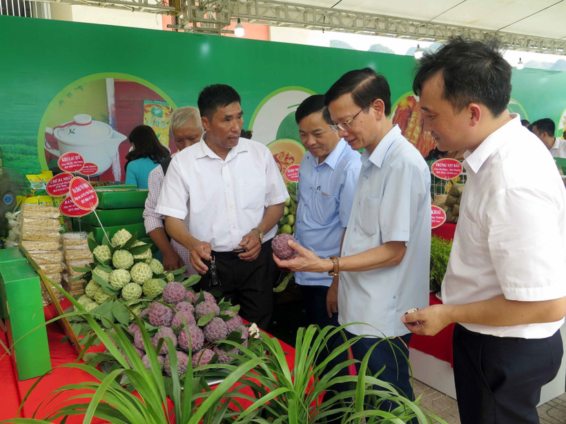 Thái Nguyên kết nối tiêu thụ sản phẩm na và các nông sản chủ lực