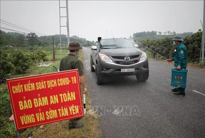 Phun khử khuẩn và kiểm tra y tế toàn bộ phương tiện ra vào vùng vải sớm xã Phúc Hòa, huyện Tân Yên. Ảnh: Danh Lam-TTXVN