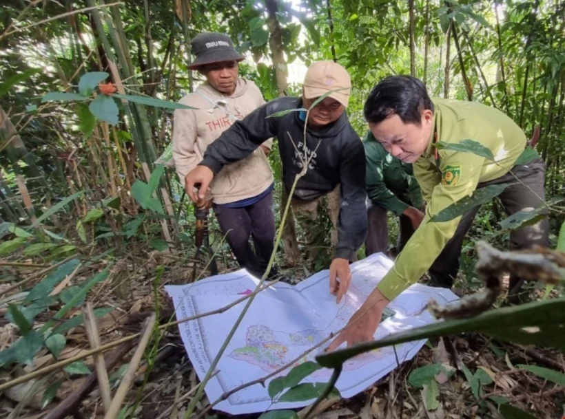 Kon Tum: Chuyển đổi mục đích sử dụng rừng đảm bảo đúng quy định