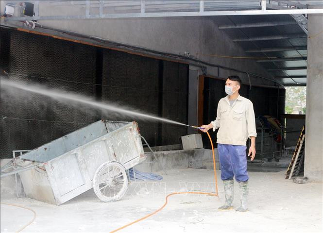 Phát triển chăn nuôi lợn theo hướng an toàn sinh học ở Hà Nam