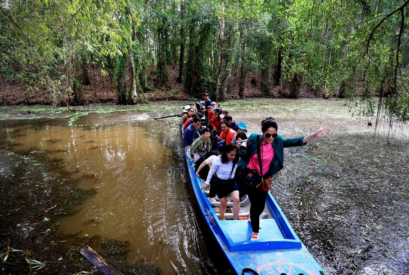 Long An trồng mới 650 ha rừng tập trung trong năm 2023