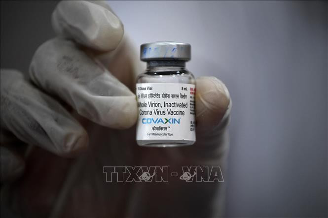 Vaccine phòng COVID-19 của Ấn Độ có "hiệu quả cao"