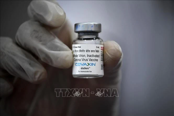 Vaccine phòng COVID-19 của Ấn Độ có "hiệu quả cao"