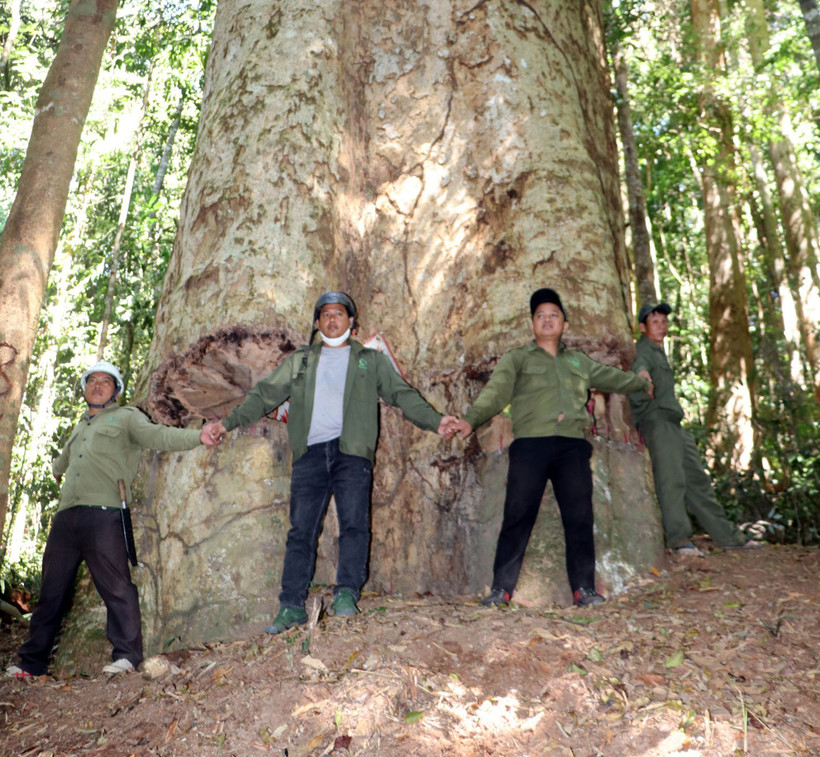 Giữ màu xanh cho tương lai