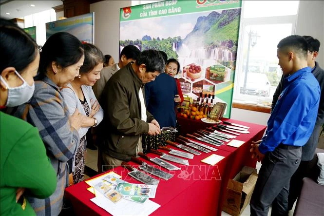 Dao Phúc Sen lên sàn thương mại điện tử