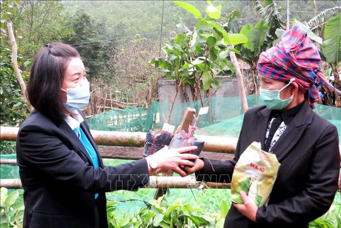 "Xuân Biên phòng - Ấm lòng dân bản" về xã biên giới Hóa Sơn