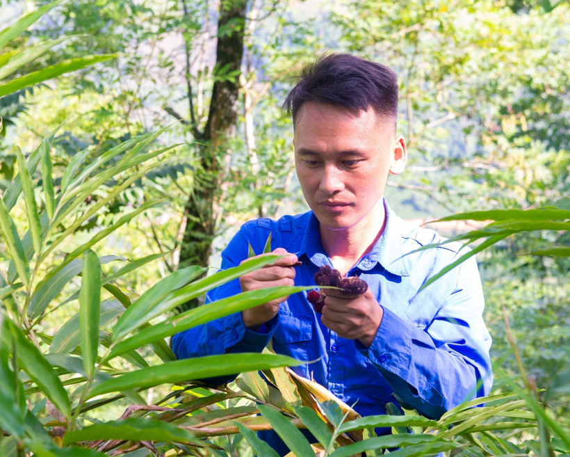 Những Bí thư chi bộ 9x ở vùng cao Hà Giang: Dân tin từ những hành động thực tế