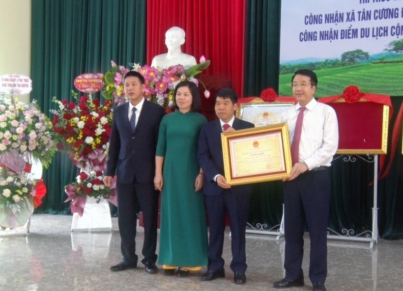 “Tri thức trồng và chế biến chè Tân Cương” - Di sản Văn hóa phi vật thể Quốc gia