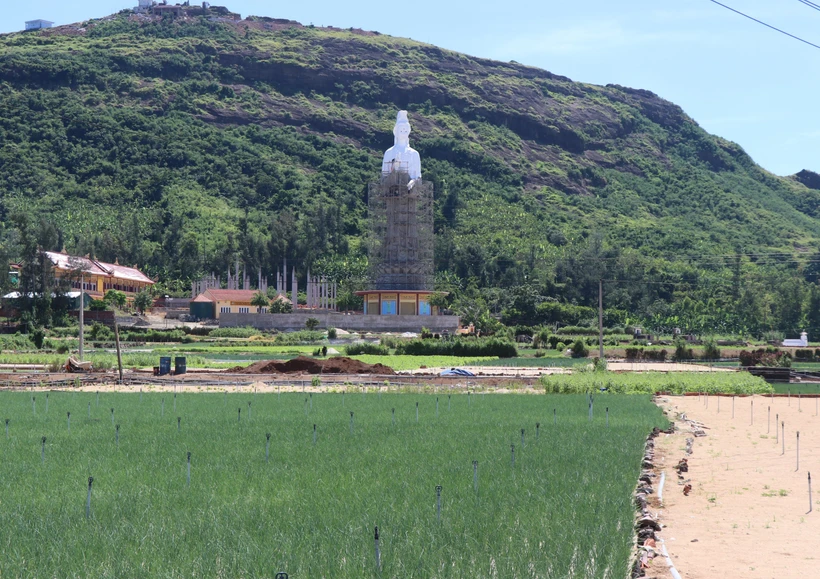 Lý Sơn khát vọng vươn mình