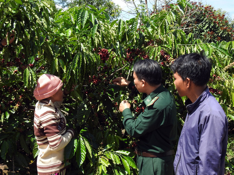 Xuân về trên biên giới Kon Tum