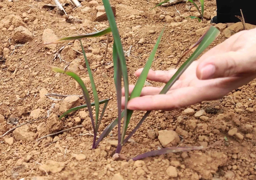 Giải pháp cho tình trạng thiếu nước ở Lục Khu (Cao Bằng)