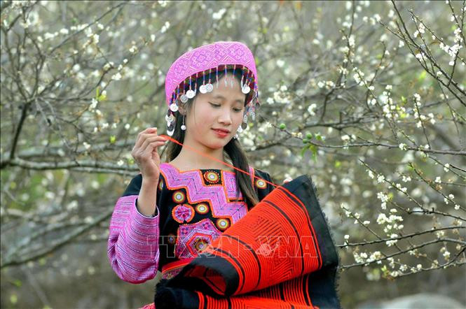 Rực rỡ sắc hoa Xuân đón Tết
