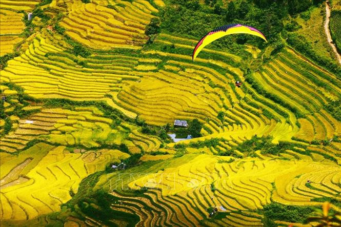Với độ cao từ 1.200m đến 1.500m so với mực nước biểu, đèo Khau Phạ là điểm đến lý tưởng cho những người đam mê môn thể thao dù lượn. Ảnh: Lâm Khánh – TTXVN