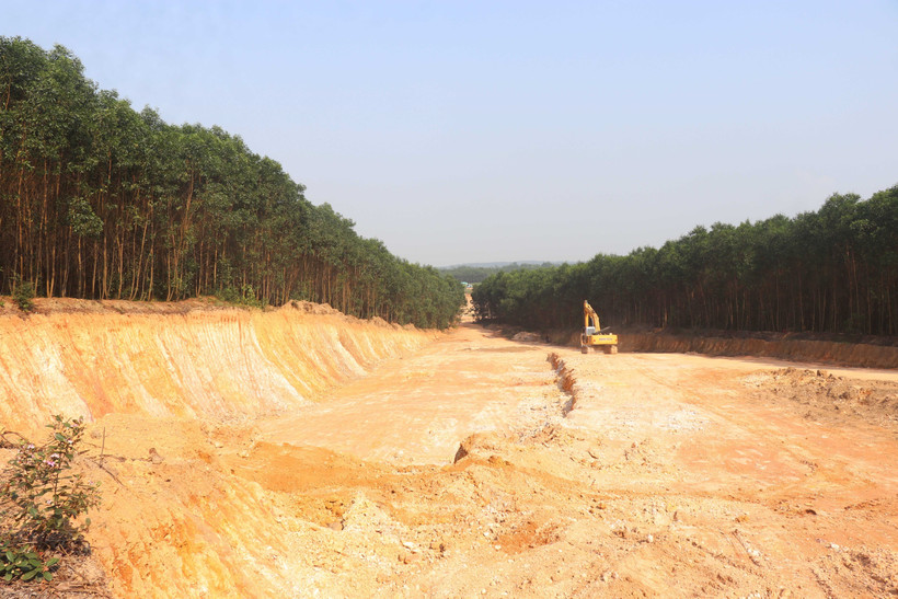 Quảng Trị: Khẩn trương làm rõ việc đào, lấy đất lâm nghiệp trái phép quy mô lớn