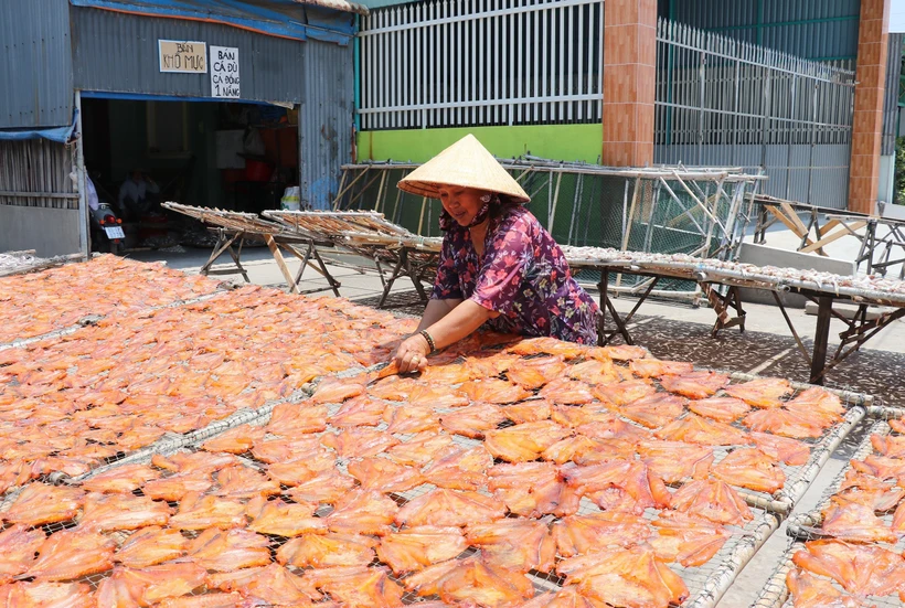 Nghề cá khô truyền thống giúp nhiều nông dân Vàm Láng cải thiện thu nhập