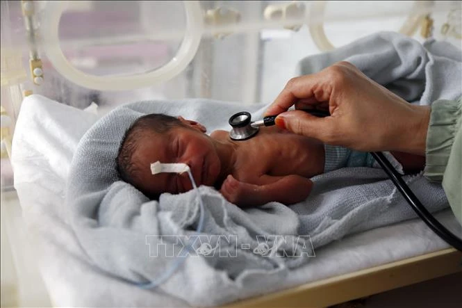 Suy dinh dưỡng gây thiệt hại lên tới 850 tỷ USD cho giới doanh nghiệp tại các nước đang phát triển