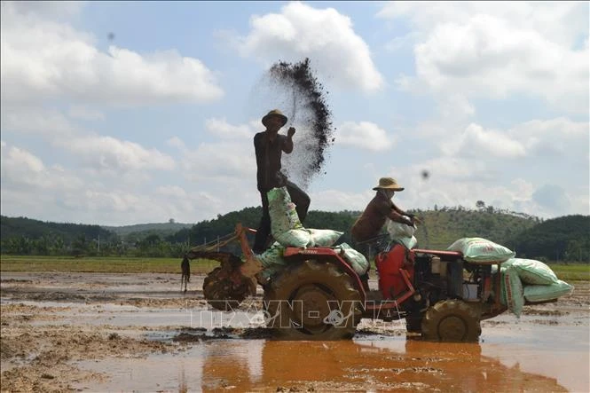 Xây dựng thương hiệu gạo Đăng Hà