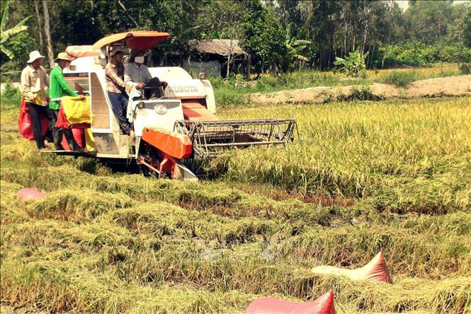 Sóc Trăng chuyển đổi cơ cấu nông nghiệp nâng cao hiệu quả cho nhà nông