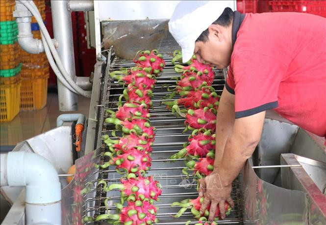 Tiền Giang nỗ lực nâng cao năng lực cạnh tranh của nhiều sản phẩm chủ lực