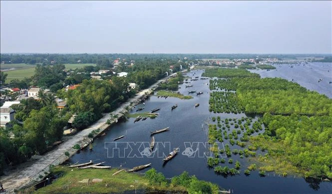 Ngăn chặn đà suy giảm đa dạng sinh học ở Việt Nam (Bài cuối)