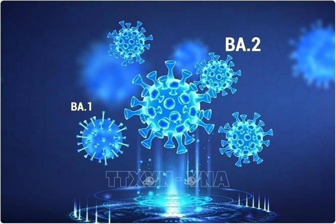 Những điều cần biết về khả năng tái nhiễm virus SARS-CoV-2