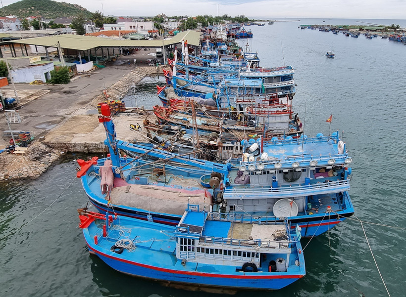Ngư dân Ninh Thuận hối hả đưa thuyền vào bờ tránh bão số 4