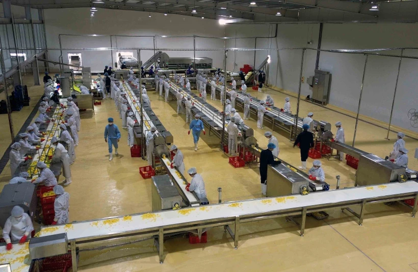 Khánh thành Trung tâm chế biến rau, quả Doveco Sơn La