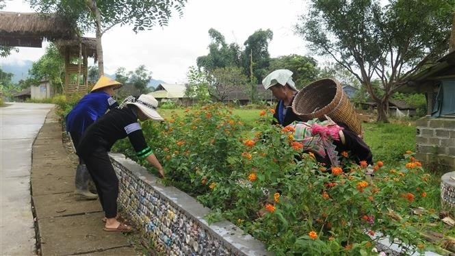 Nhiều cách làm sáng tạo của phụ nữ vùng cao Lai Châu trong xây dựng nông thôn mới