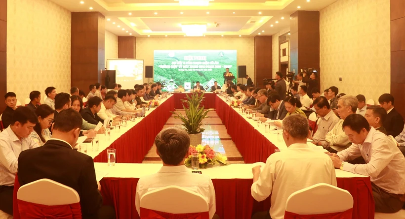 Cả nước đã trồng gần 770 triệu cây xanh thuộc Đề án “Trồng một tỷ cây xanh”