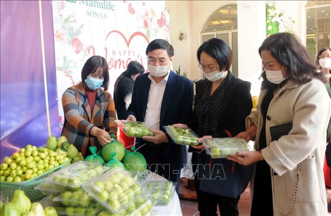 Sơn La phát triển hợp tác xã gắn với tái cơ cấu nông nghiệp