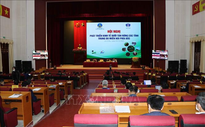 Đánh giá tiềm năng phát triển kinh tế dưới tán rừng vùng Trung du và miền núi phía Bắc