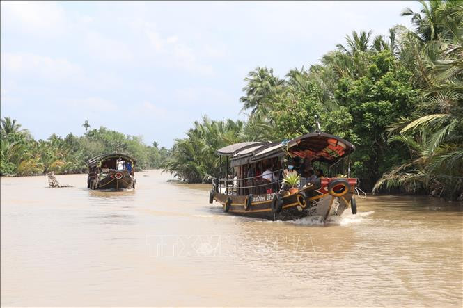 Tín hiệu vui từ ngành "công nghiệp không khói" xứ Dừa