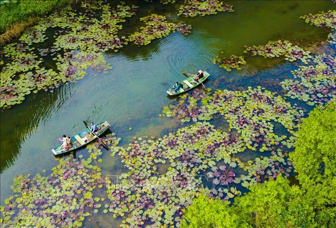 Phát triển du lịch sức khỏe, tăng trải nghiệm cho du khách ở Việt Nam