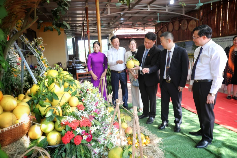 Xúc tiến tiêu thụ trên 65 nghìn tấn trái cây Lục Ngạn 