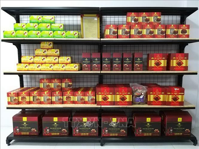 Các sản phẩm OCOP từ nấm. Ảnh: TTXVN
