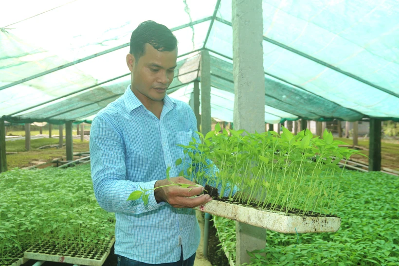Trà Vinh tạo điều kiện tiếp cận chính sách nông nghiệp
