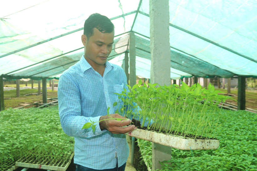 Trà Vinh tạo điều kiện tiếp cận chính sách nông nghiệp