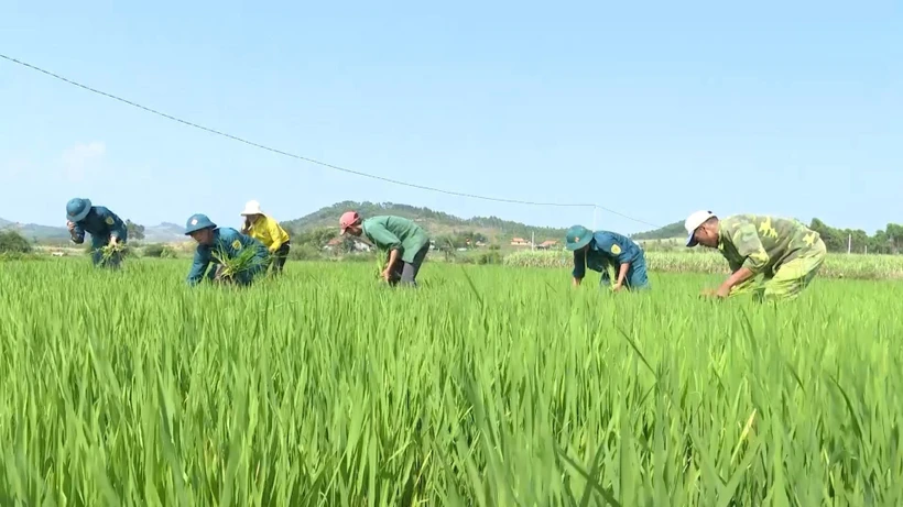 Phát huy vai trò lực lượng dân quân tự vệ trong xây dựng nông thôn mới ở huyện K’Bang