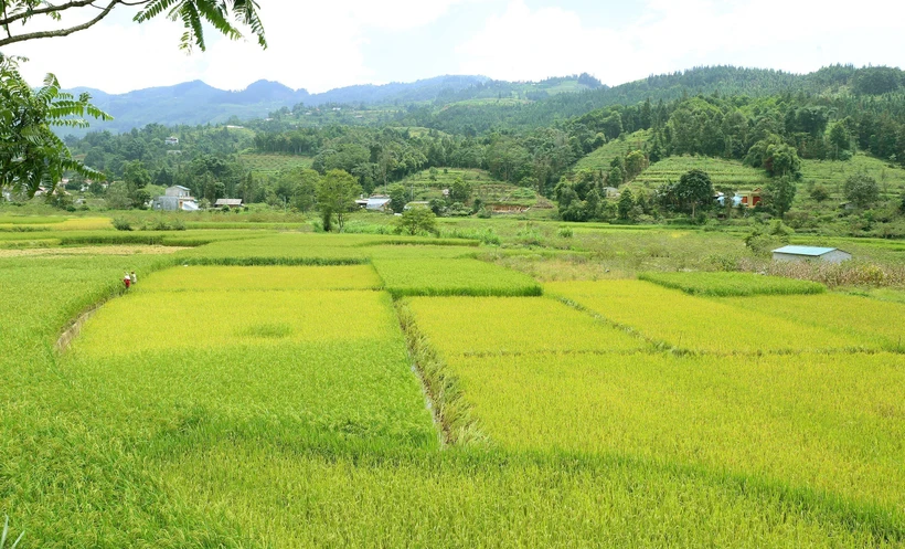 Góp ý dự thảo Luật Đất đai (sửa đổi): Tháo gỡ vướng mắc ở vùng đồng bào dân tộc thiểu số 