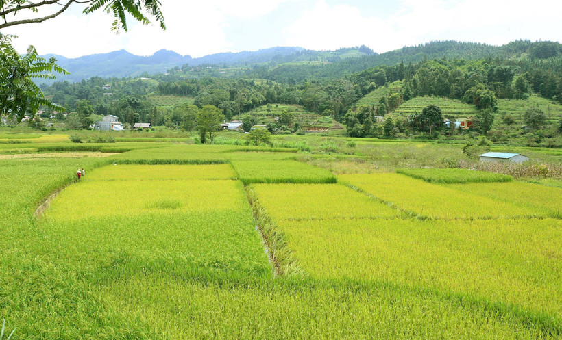 Góp ý dự thảo Luật Đất đai (sửa đổi): Tháo gỡ vướng mắc ở vùng đồng bào dân tộc thiểu số 