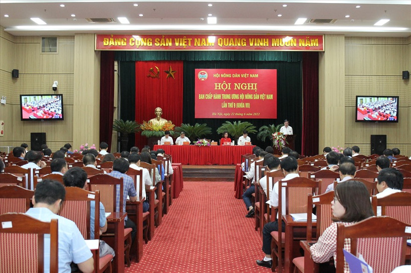 Đẩy mạnh các hoạt động hỗ trợ nông dân, nông thôn