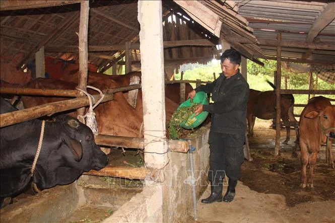 Động lực thoát nghèo của người dân miền biên giới Hương Khê