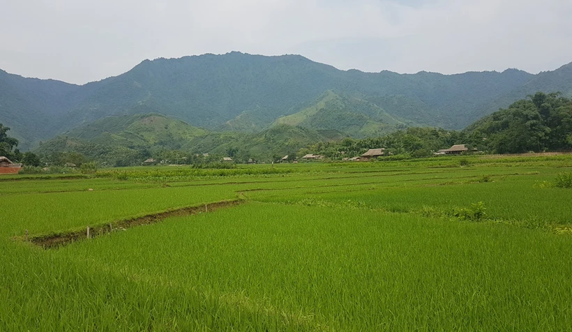 Phát huy nội lực, tạo đà xây nông thôn mới bền vững tỉnh Lào Cai