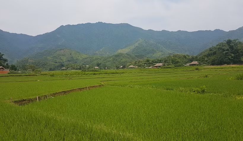 Phát huy nội lực, tạo đà xây nông thôn mới bền vững tỉnh Lào Cai
