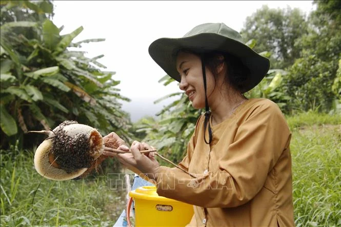 Xây dựng và phát triển sản phẩm du lịch gắn với đặc trưng vùng đất, con người Cà Mau