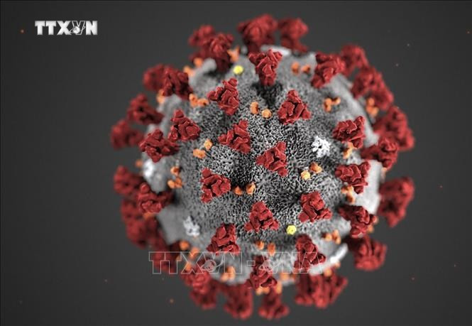 Giới khoa học Thụy Sĩ phát hiện siêu kháng thể chống virus gây bệnh COVID-19