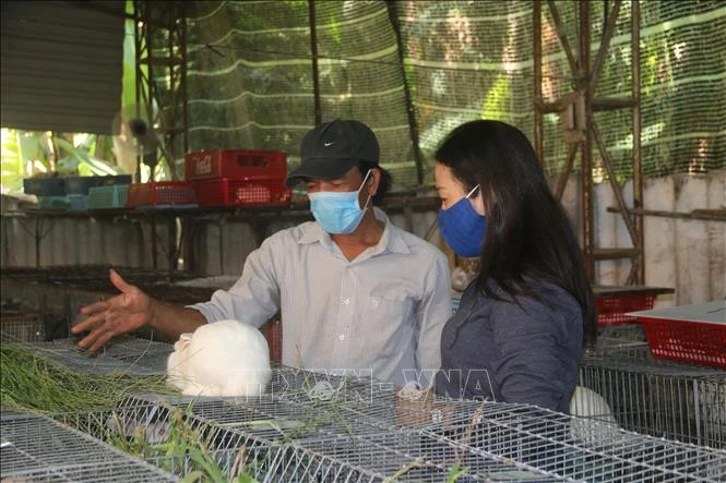 Anh Nguyễn Tấn Hưng trao đổi với người dân tới học hỏi kỹ thuật nuôi thỏ. Ảnh: Hoàng Nhị - TTXVN