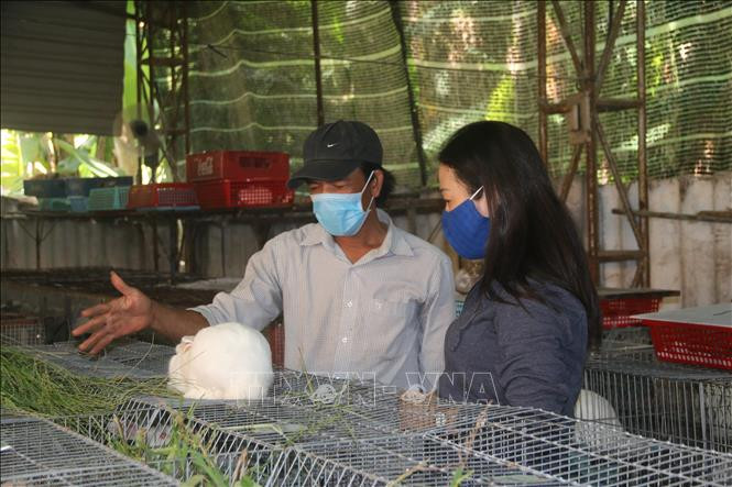 Anh Nguyễn Tấn Hưng trao đổi với người dân tới học hỏi kỹ thuật nuôi thỏ. Ảnh: Hoàng Nhị - TTXVN
