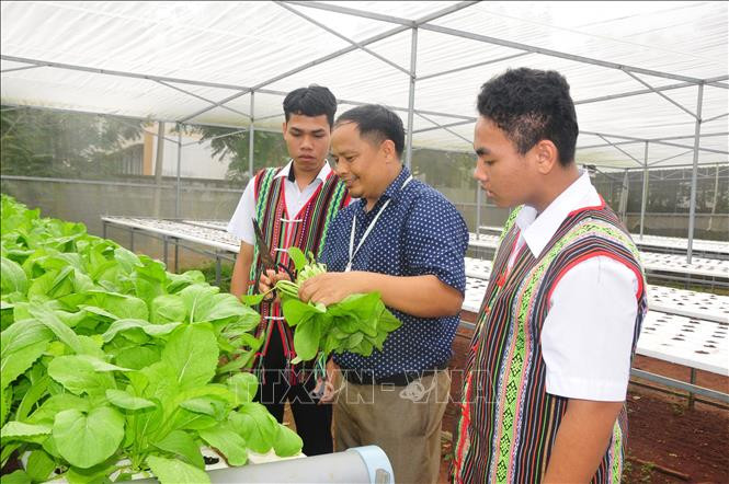 Dạy học sinh biết yêu lao động qua mô hình "Vườn rau trường học" ở Bù Gia Mập
